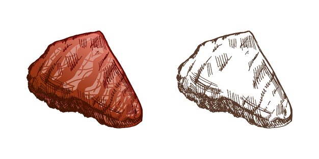 Organic food Hand drawn colored and monochrome vector sketch of grilled beef steak piece of meat