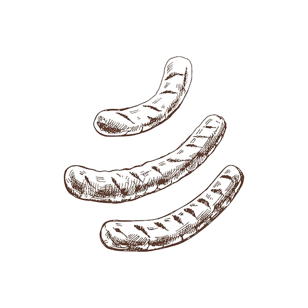 Organic food Hand drawn vector sketch of barbecue grilled sausages isolated on white background