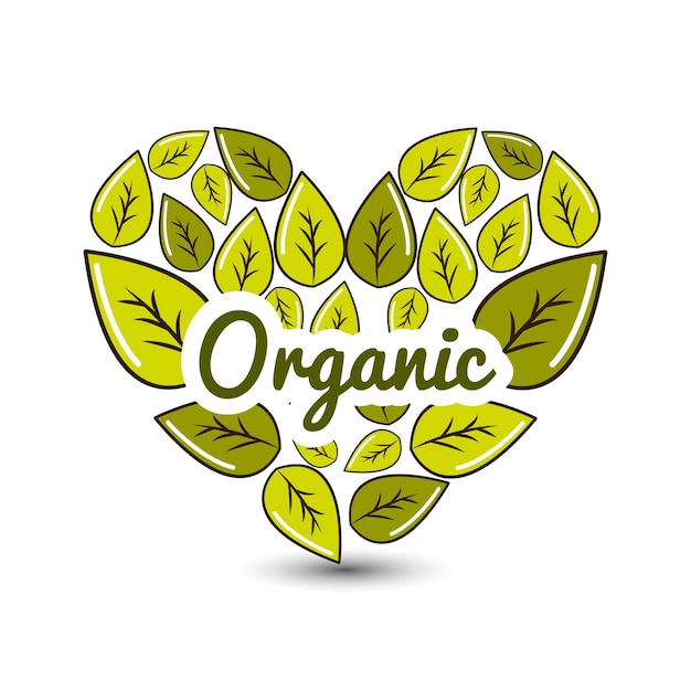 organic food icon stock