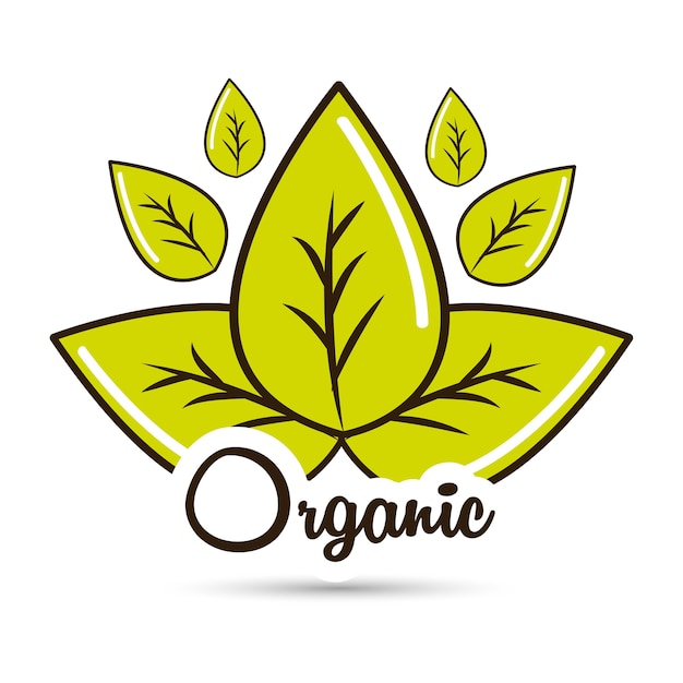 organic food icon stock