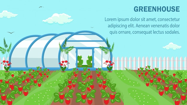 Organic Fruits Cultivation Web Banner Template