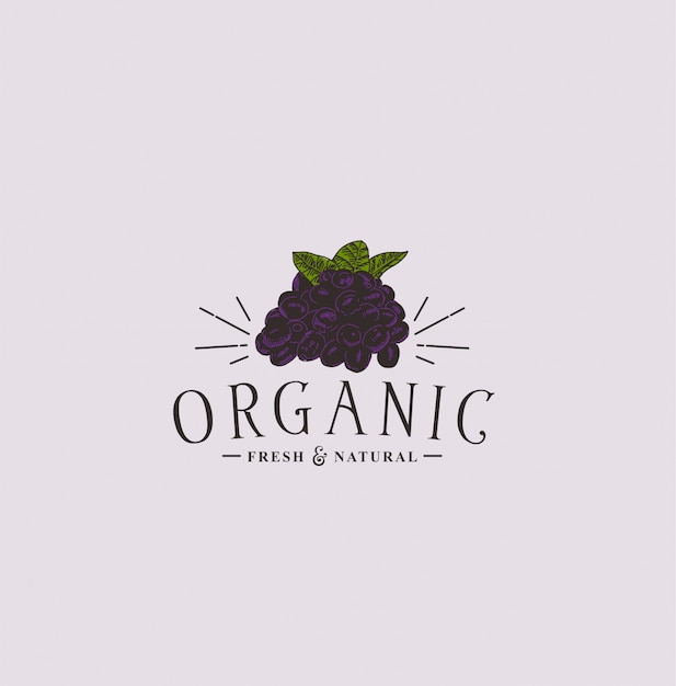 Organic Hand drawn vintage Logo