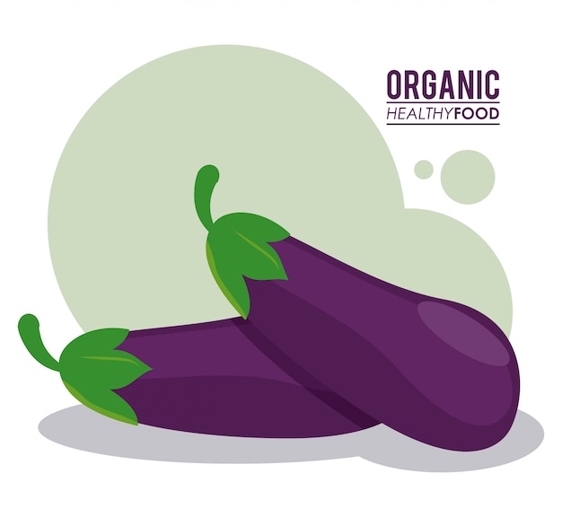 Organic healthy food eggplant nutrition 