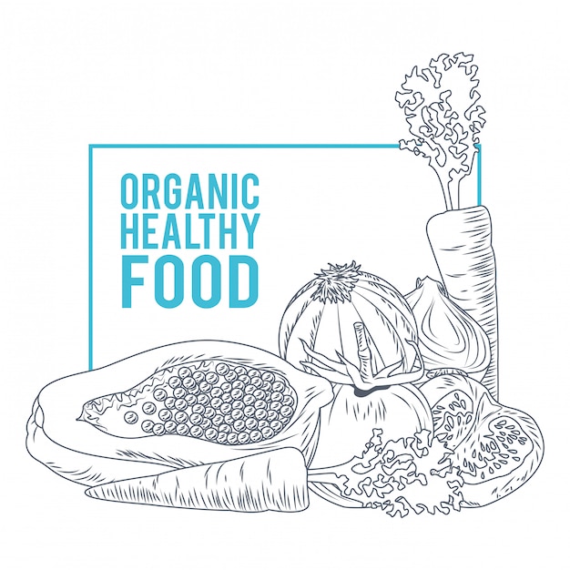 Organic healthy food hand drawings 