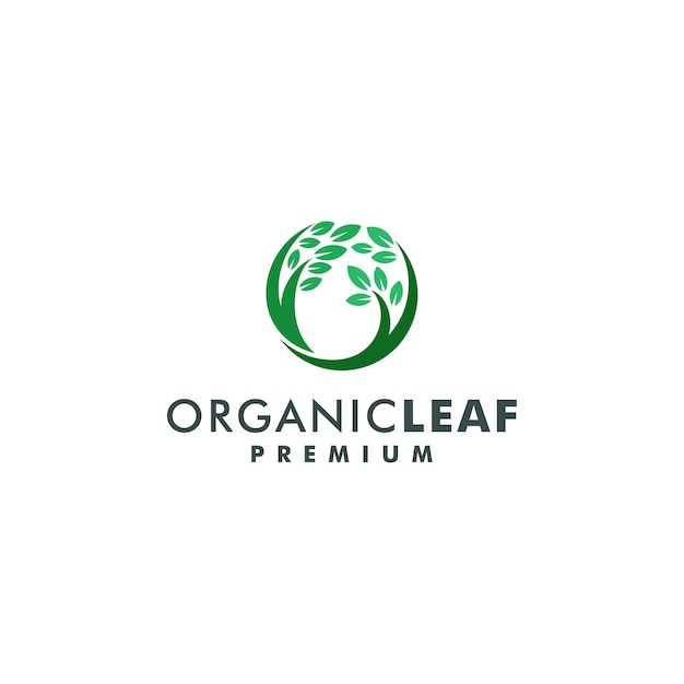 Organic leaf nature logo design vector illustration