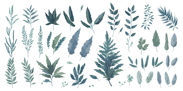 Organic Oasis A Vector Set of Vibrant Flat Herbs for Your Organic Designs