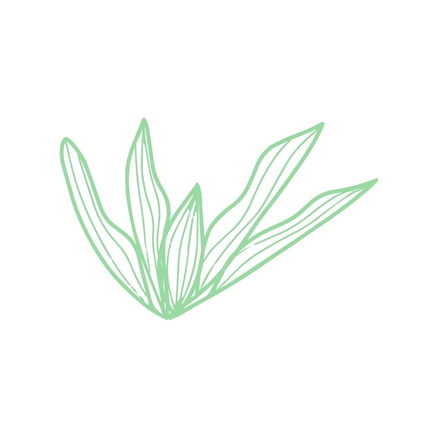 Organic shape of green plant leaves Modern trendy icon of foliage Flat natural vector illustration with floral for advertisement promotion