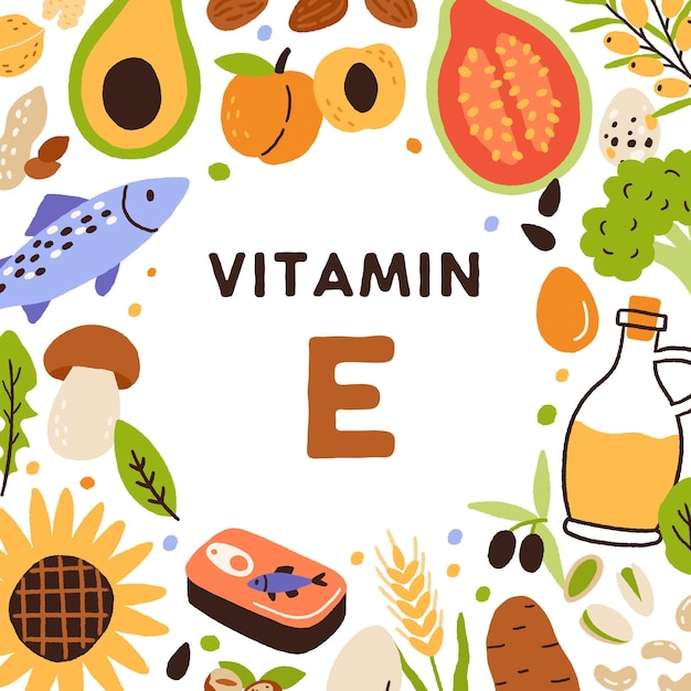 Organic sources of Vitamin E. Card with natural healthy food and nutrients enriched with tocopherol. Colorful flat vector illustration with olive oil, avocado, sardines, mushrooms and tuna fish