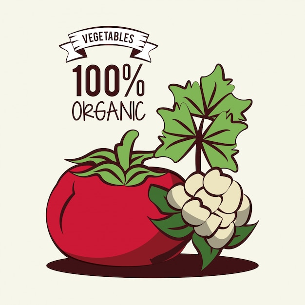 Organic vegetables icon