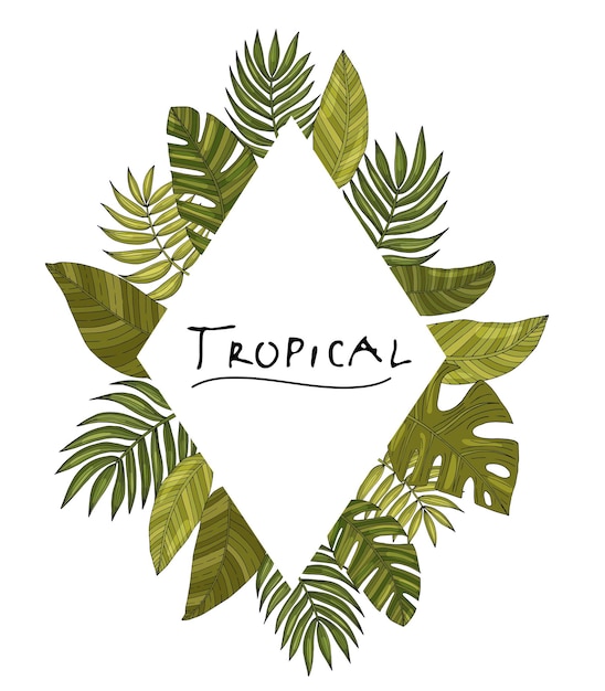 Ornament rhombus frame border hand drawn tropical or forest leaves with many shades of green