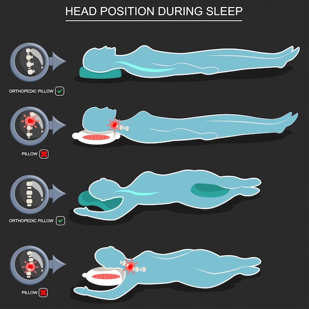 Vector orthopedic pillows for correct position of head during sleep