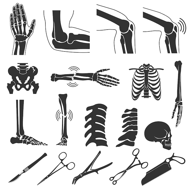 Orthopedic and spine vector black symbols. human bones icons