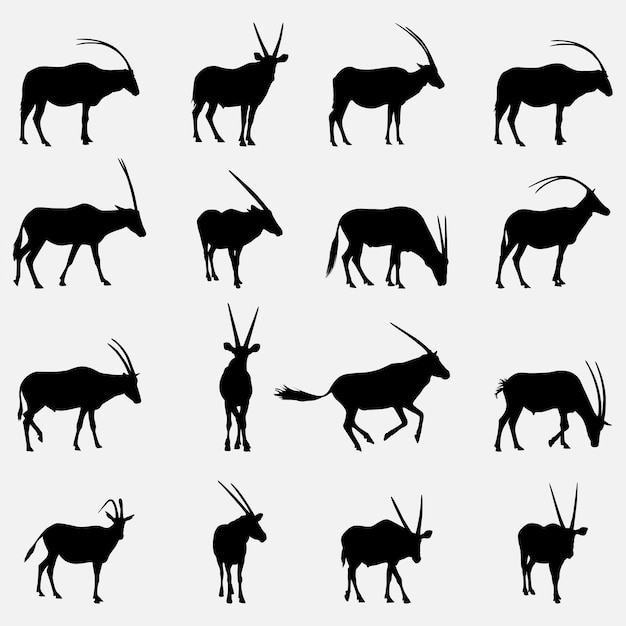 Oryx Animal Silhouettes Template