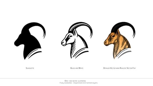 Oryx Face only vector illustration Oryx Detailed vector illustration Silhouette black and white Organized and named l