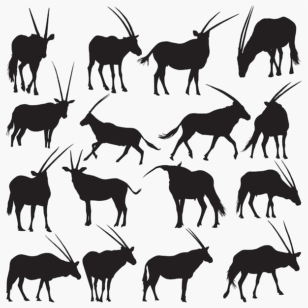 Oryx Silhouettes