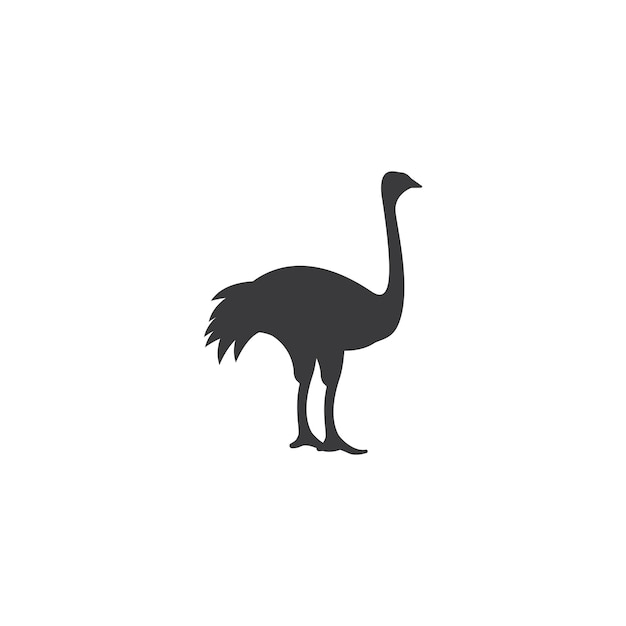 Ostrich illustration