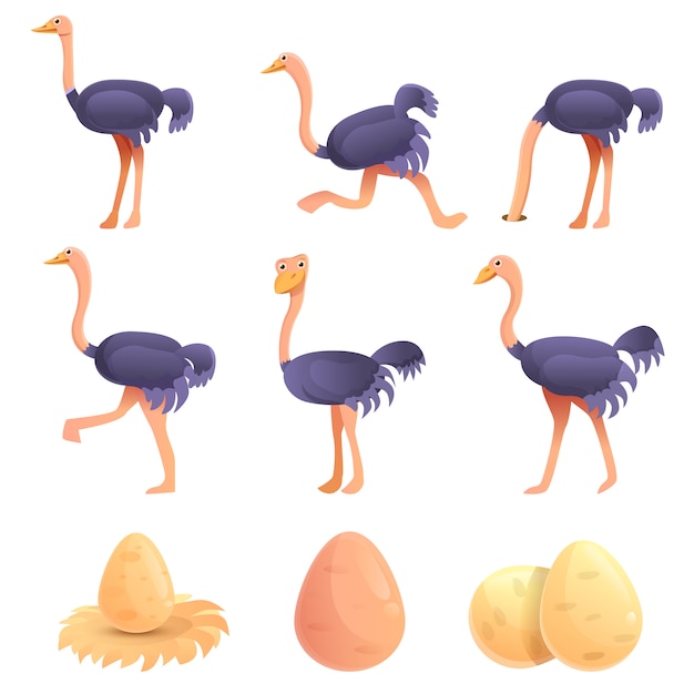 Ostrich set, cartoon style