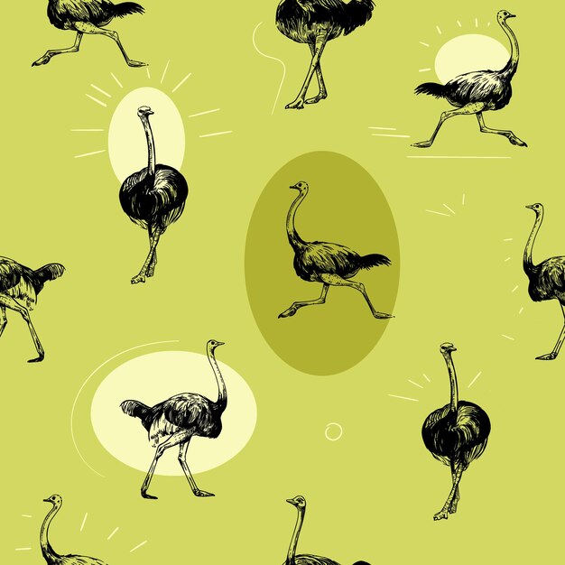 Vector ostrich sketch illustration seamless pattern design vector black outline