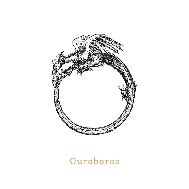 Ouroboros vector illustration in engraving style Vintage pastiche of esoteric and occult sign Drawn sketch