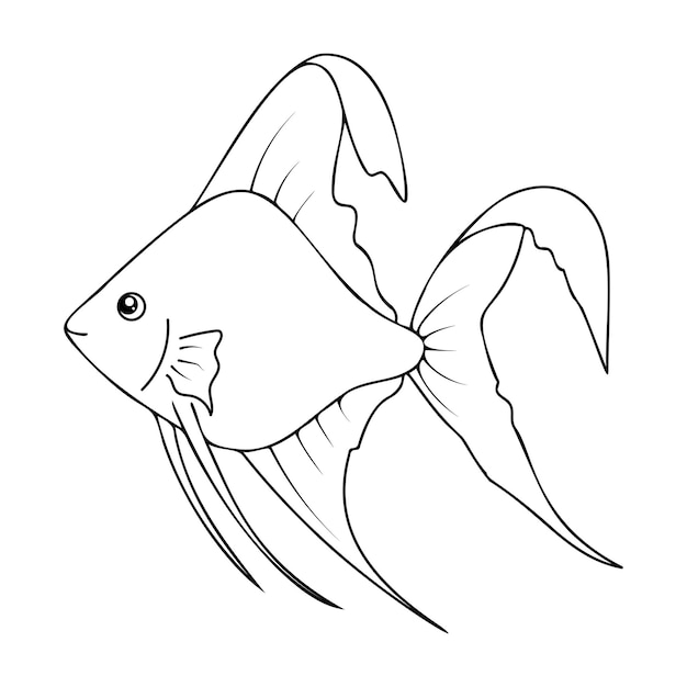 Outline Angelfish isolated on a white background