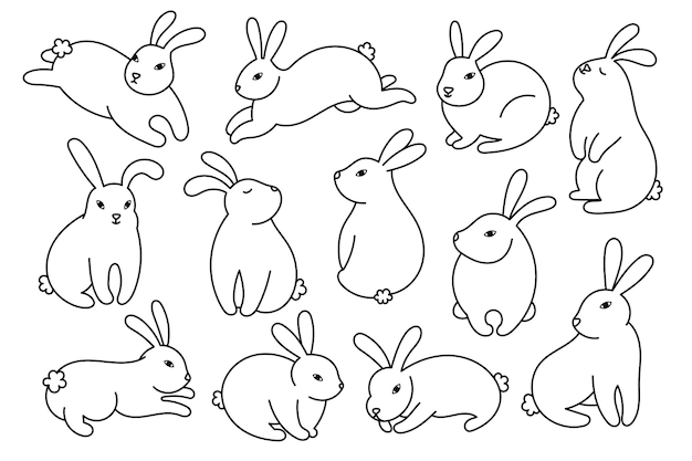 Outline cute bunny collection