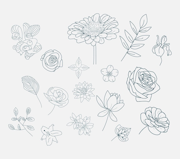 Outline drawing Vectors Flower icon background Floral Rose logo pattern Photos bouquet clipart