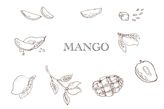 Outline Hand drawn Mango fruit in sketch art illustration