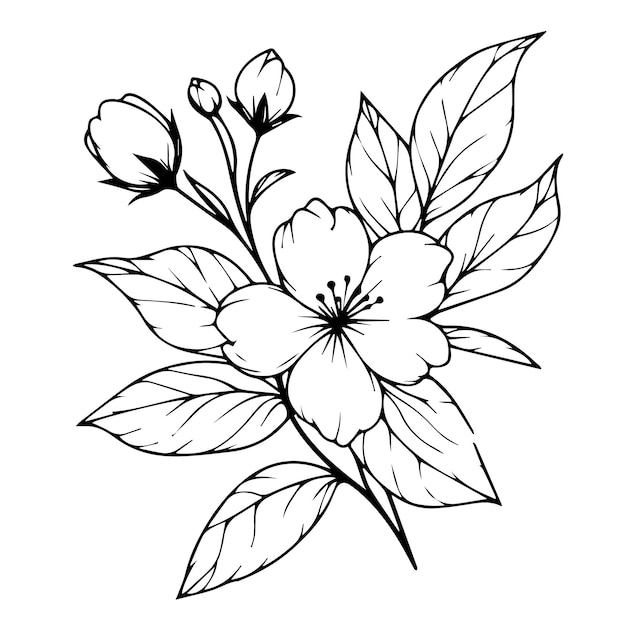 Outline print with blossoms jasmine flower jasmine bouquet leaves and buds jasmine flower tattoo