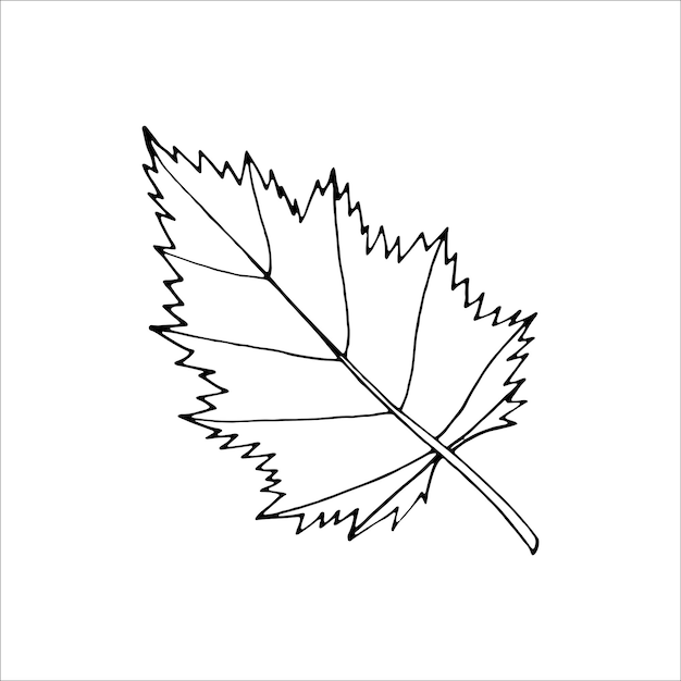 Outline tree leaf