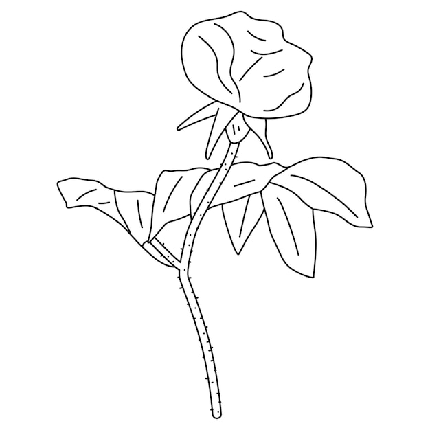 Outline wildflower vector illustration isolated on a white background