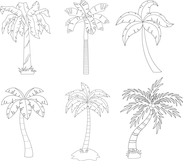 Outlined Cartoon Different Tropical Palm Tree. Vector Hand Drawn Collection Set