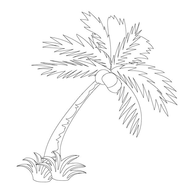 Outlined cartoon tropical tree vector hand drawn illustration, coloring pages for kids