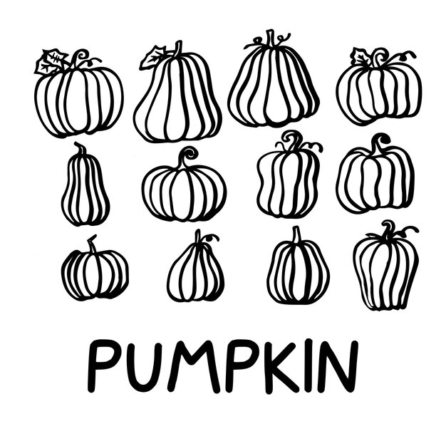 Outlined pumpkin, pumpkin doodles, pumpkin line art vector illustration.