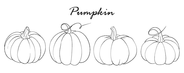 Outlines autumn set of pumpkins. Hand drawn black and white line art doodle. Vector illustration.