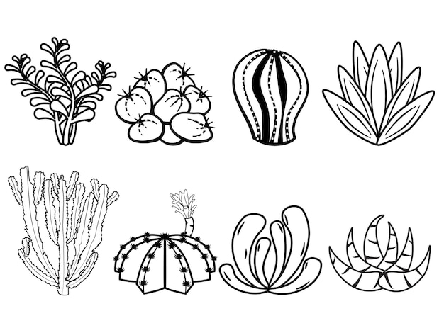 Outlines cactus and succulents in doodle style. Hand drawn cactus black and white line art set.