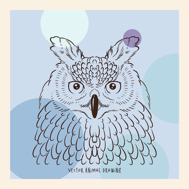 Owl Animal Portrait Vector Art Drawing Pastel Abstract Background