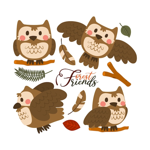 Owl Cute Character Forest Animal Cartoon Set Design