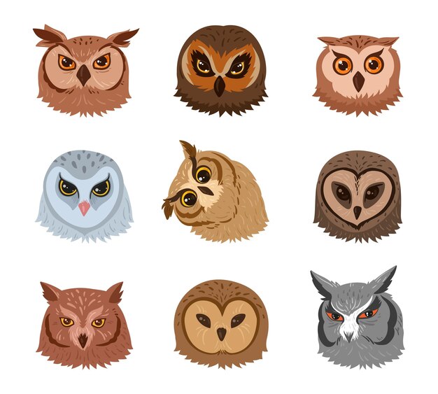 Vector owl faces cartoon adorable feathered owls avatars wild forest birds heads flat vector illustration on white background