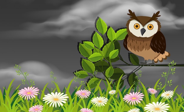 Owl in a garden scene