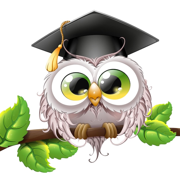 Owl in graduate cap on tree branch