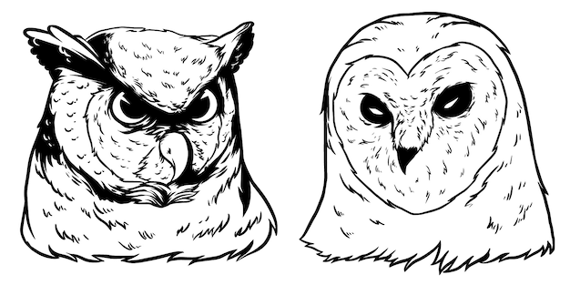 owl head design illustration