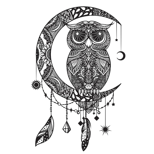 Owl and moon Hand drawn sketch illustration for adult coloring book