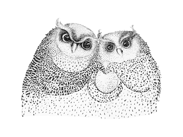 OWL vector handdrawn set in zentangle style