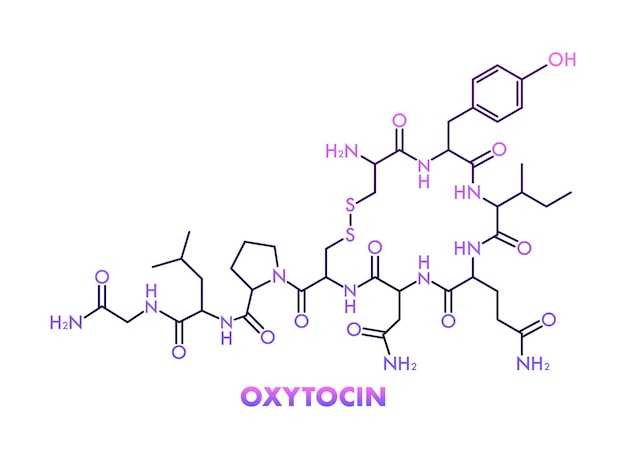 Oxytocin chemical formula hormone of love Vector stock illustration