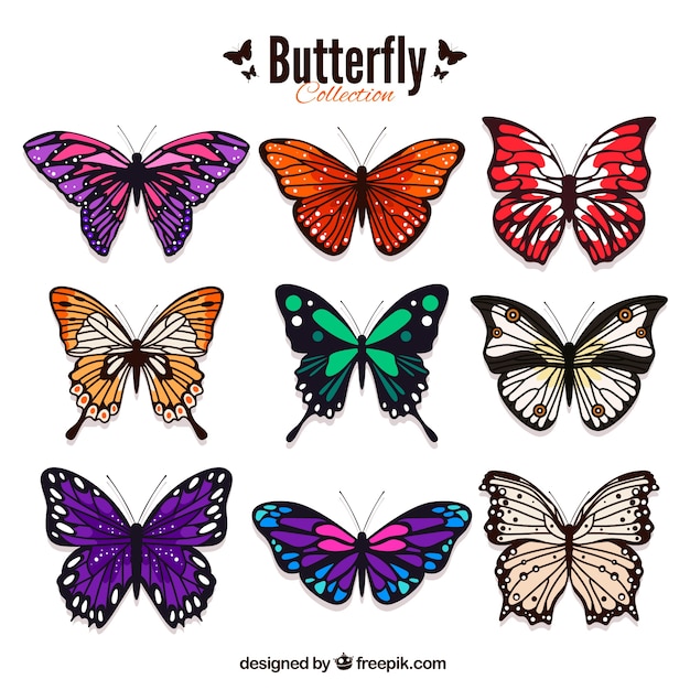 Pack of colored butterflies in realistic style