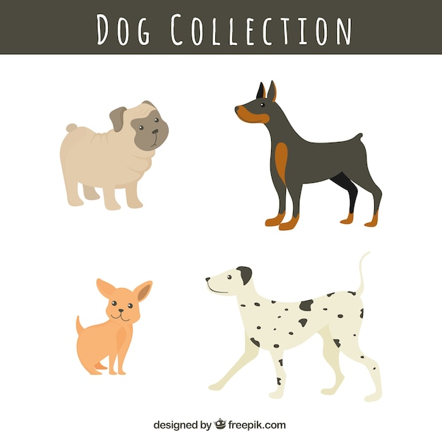 Pack of dog breeds