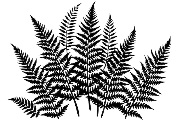 Vector a pack of fern leaf silhouettes vector illustration