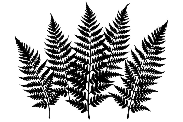 Vector a pack of fern leaf silhouettes vector illustration