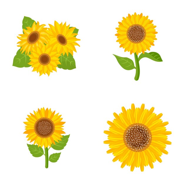 Pack of Flat Sunflower Vectors