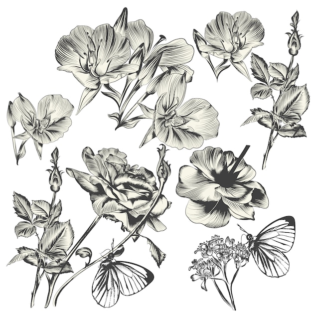 Vector pack of hand-drawn flowers in antique style